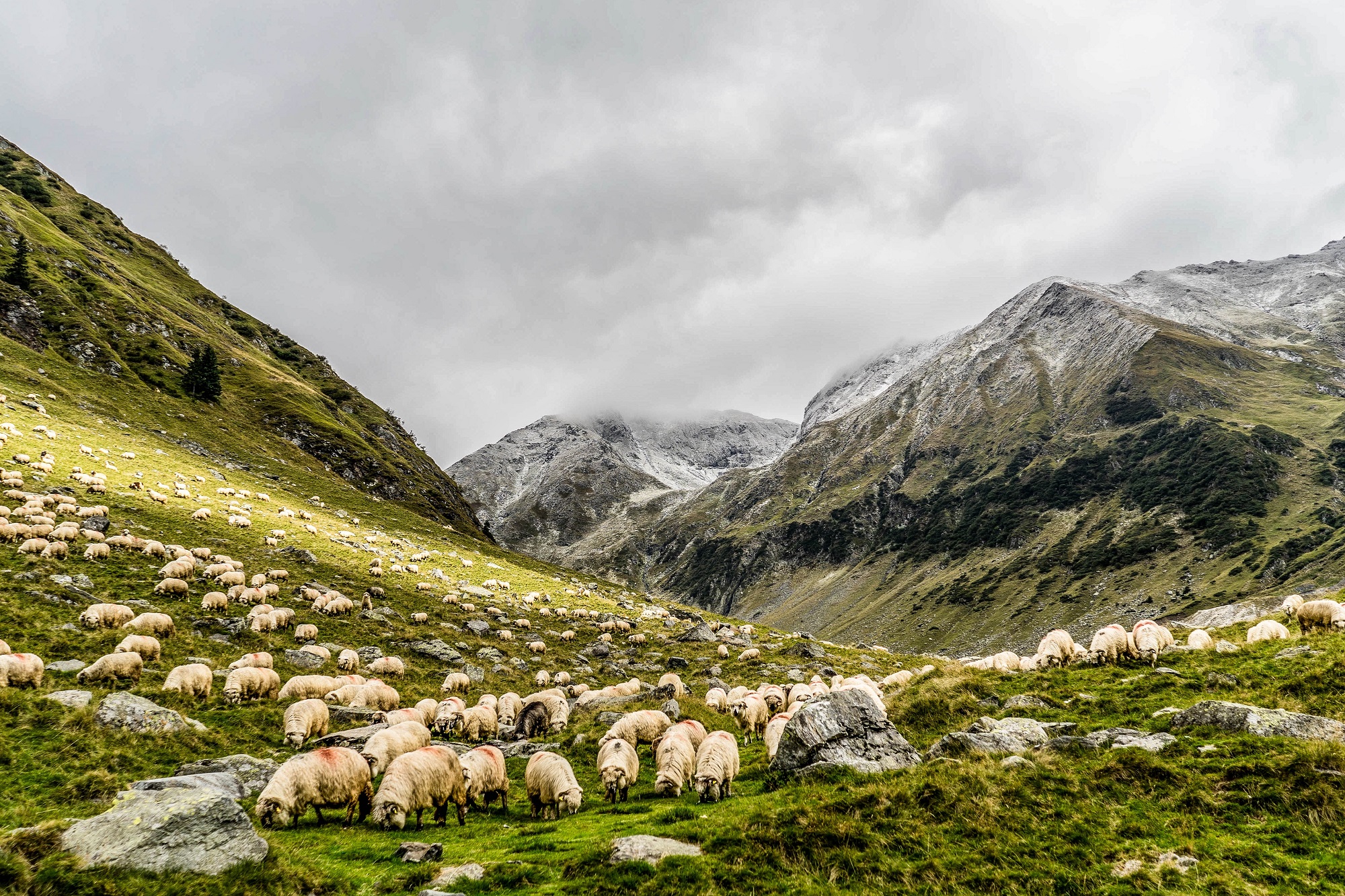 Photos from our The Wild West Cycling Holiday