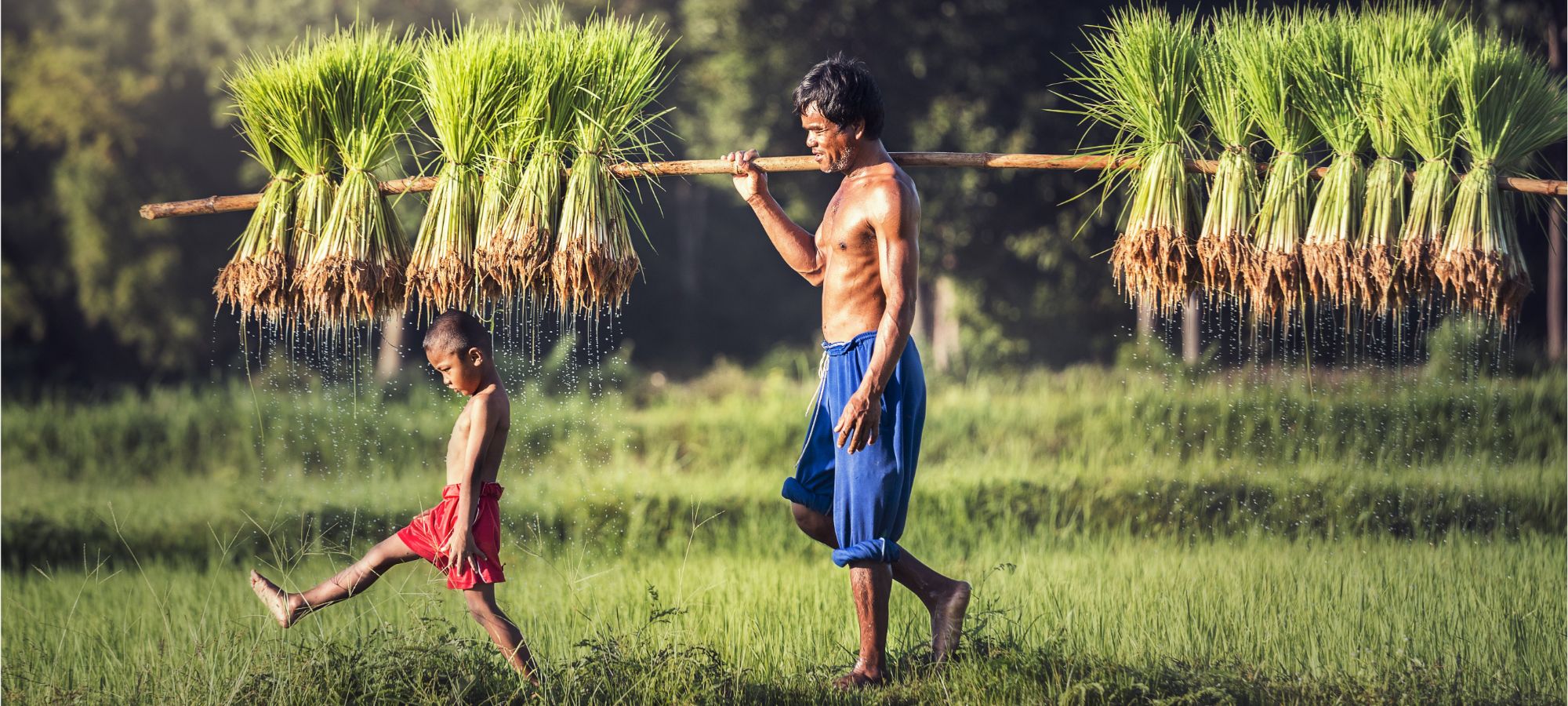 Photos from our Cambodia Cycling Holiday