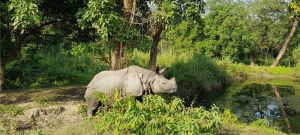 View All Photos for redspokes' Nepal Cycling Holiday Tour