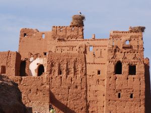 View All Photos for redspokes' Morocco Cycling Holiday Tour