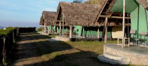 View All Photos for redspokes' India - Kerala Cycling Holiday Tour