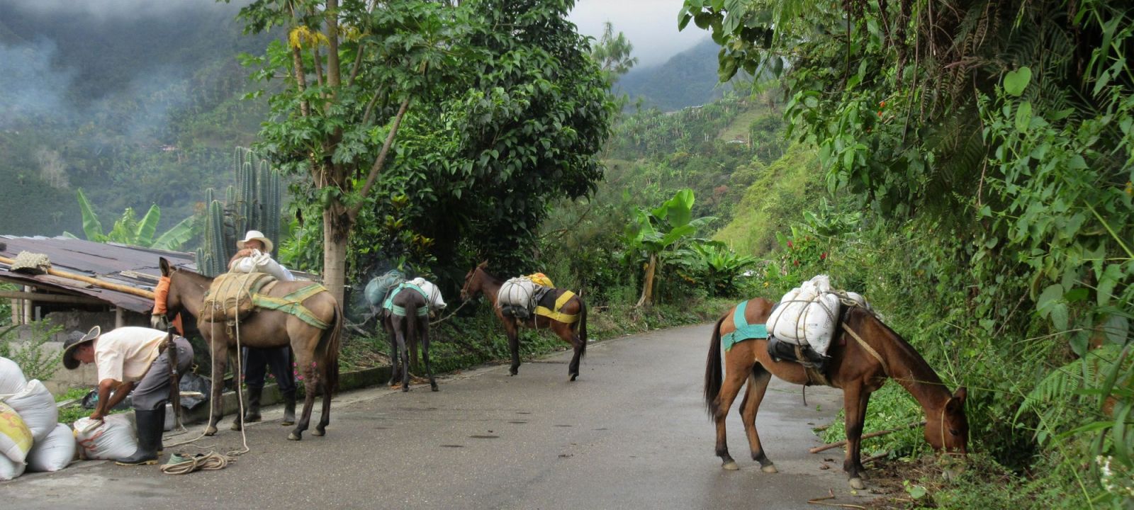 Cycling Holidays Colombia
