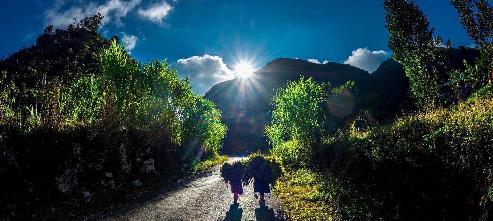 Enjoy the Vietnamese culture