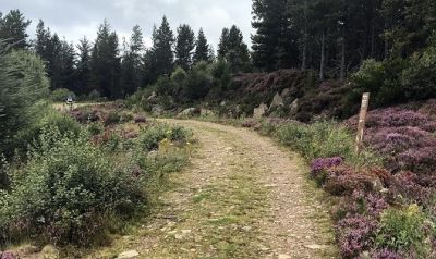 Gary Cohn Cycling on the  tour with redspokes