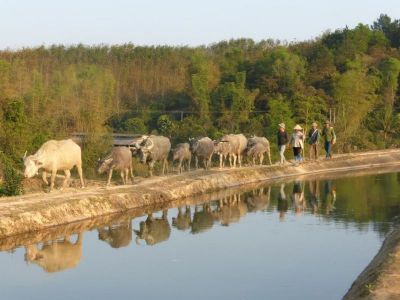 Dave Clemmett Cycling on the  tour with redspokes