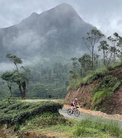 Dominique Bongaerts Cycling on the  tour with redspokes