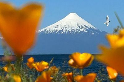 Audrey Midgley Cycling on the  tour with redspokes