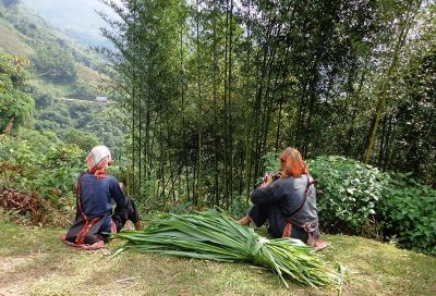 Laura Donovan Cycling on the  tour with redspokes