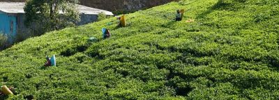 Ken Baxter  Cycling on the  tour with redspokes