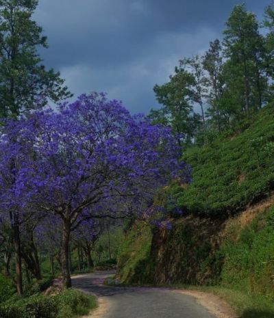 Steve Trudgeon Cycling on the  tour with redspokes